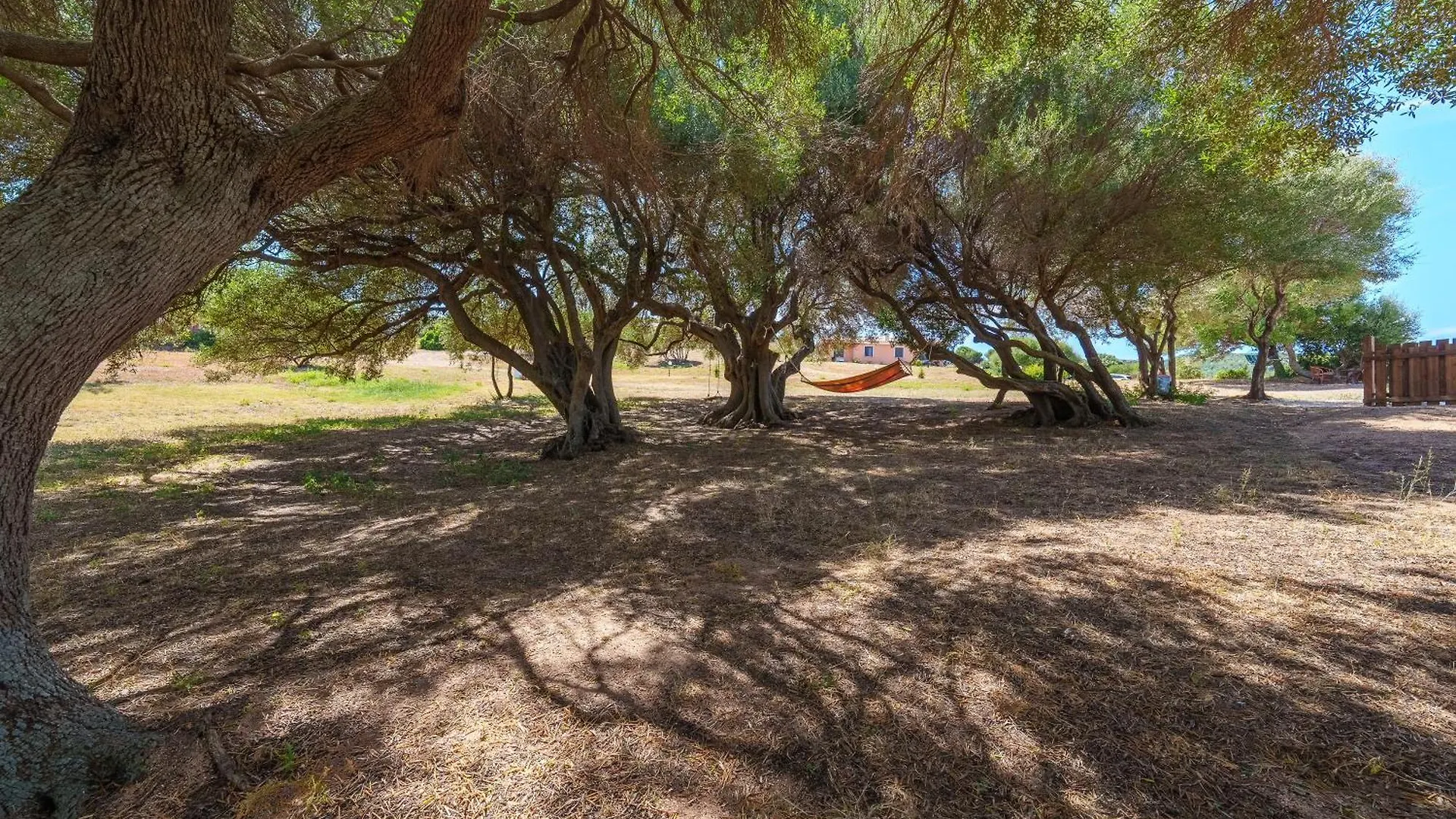 Apartamento Casa Ginepro Piscina E Vista Mare Aglientu Italia